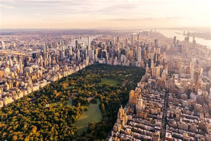 Discover The Majestic Eagles Of New York City: Uncovering Urban Wildlife Wonders