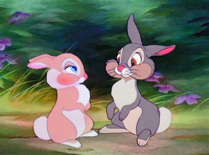 What are the names of the bunnies in Bambi? Celebrity